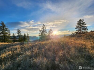 0 Blue Grouse (Div 5, Lot 42) , Oroville, WA 98844 - Photo 6