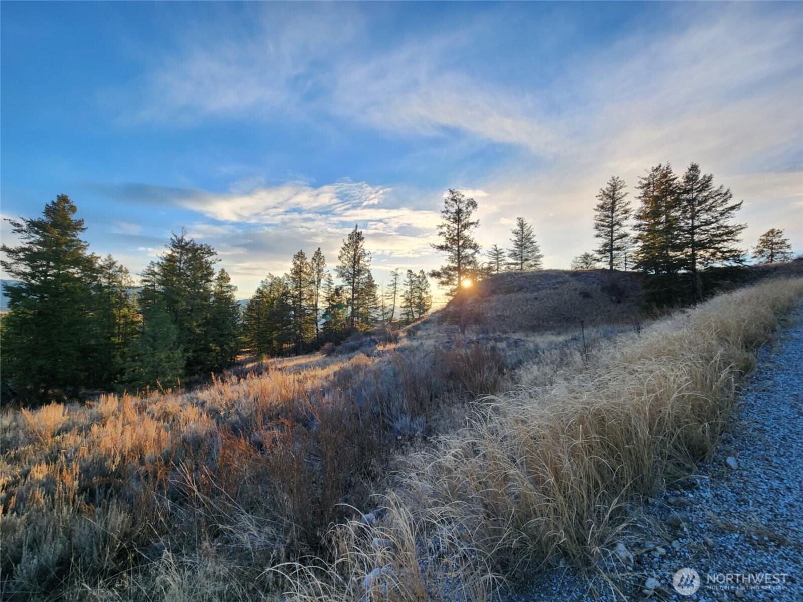 0 Blue Grouse (Div 5, Lot 42) , Oroville, WA 98844