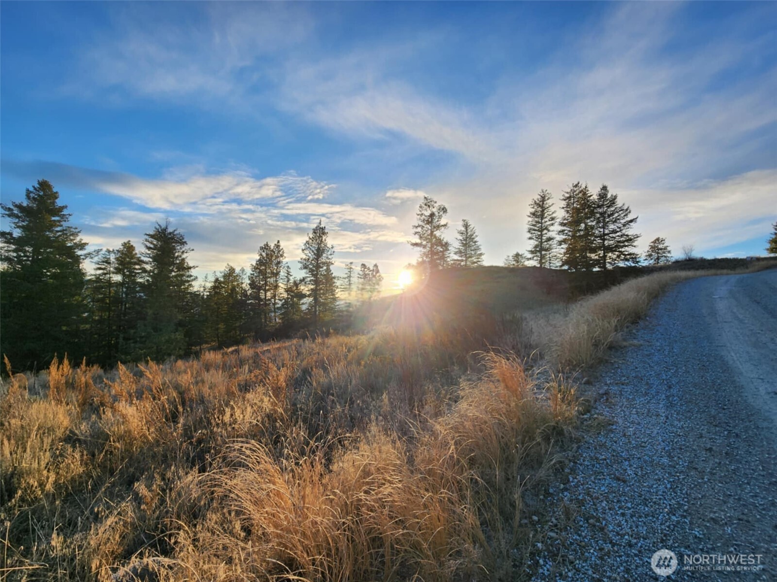 0 Blue Grouse (Div 5, Lot 42) , Oroville, WA 98844
