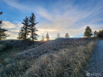 0 Blue Grouse (Div 5, Lot 42) , Oroville, WA 98844 - Photo 9