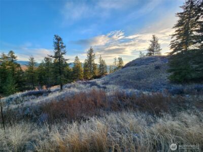 0 Blue Grouse (Div 5, Lot 42) , Oroville, WA 98844 - Photo 10