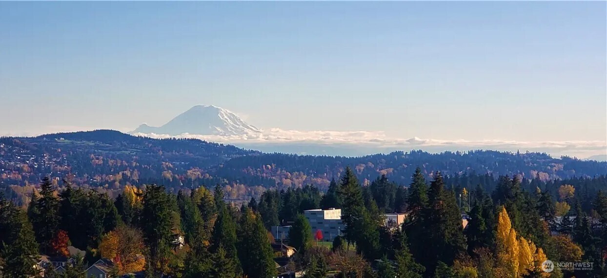188 Bellevue Way NE #1905, Bellevue, WA 98004