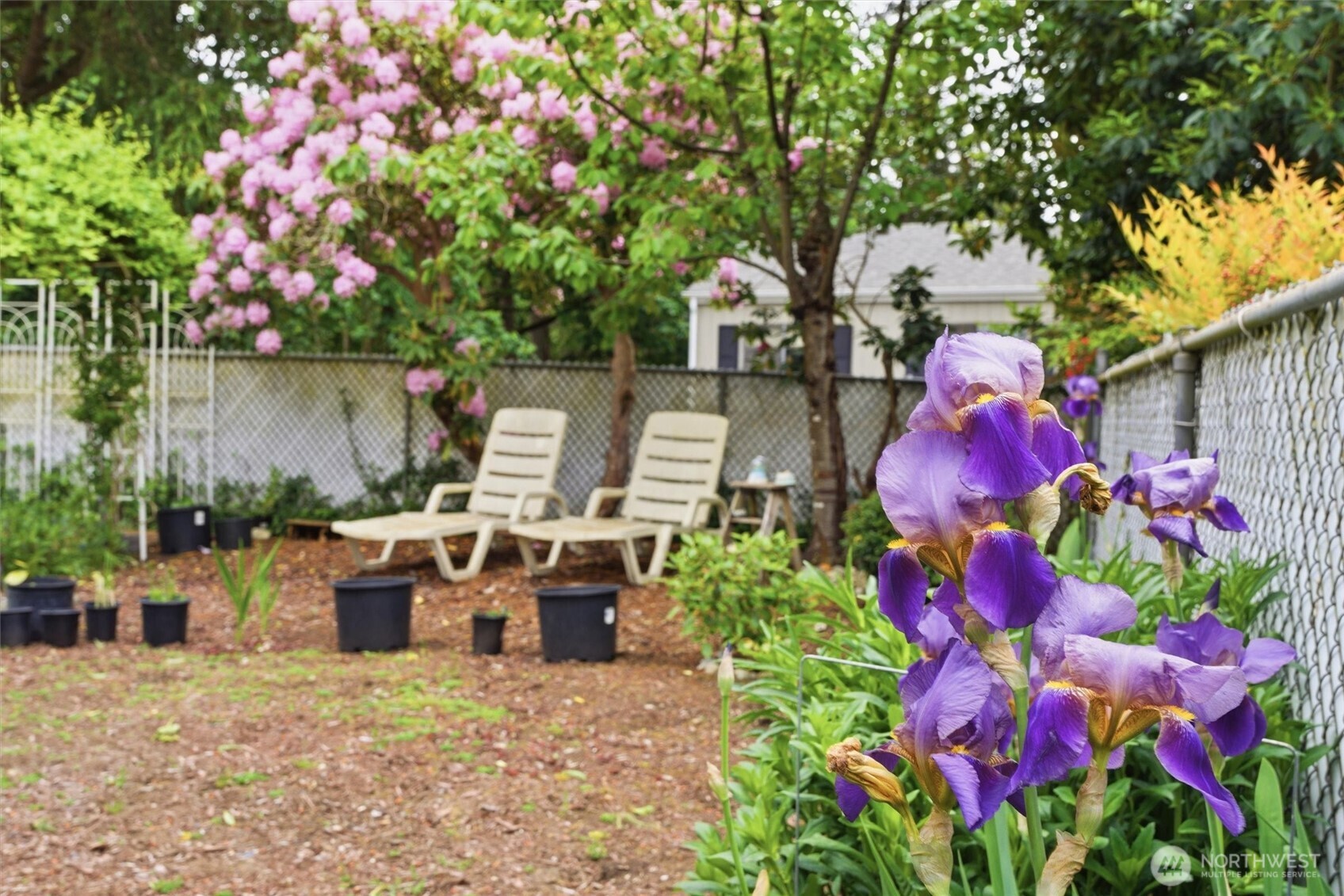 304 Wildcat Street SE, Lacey, WA 98503