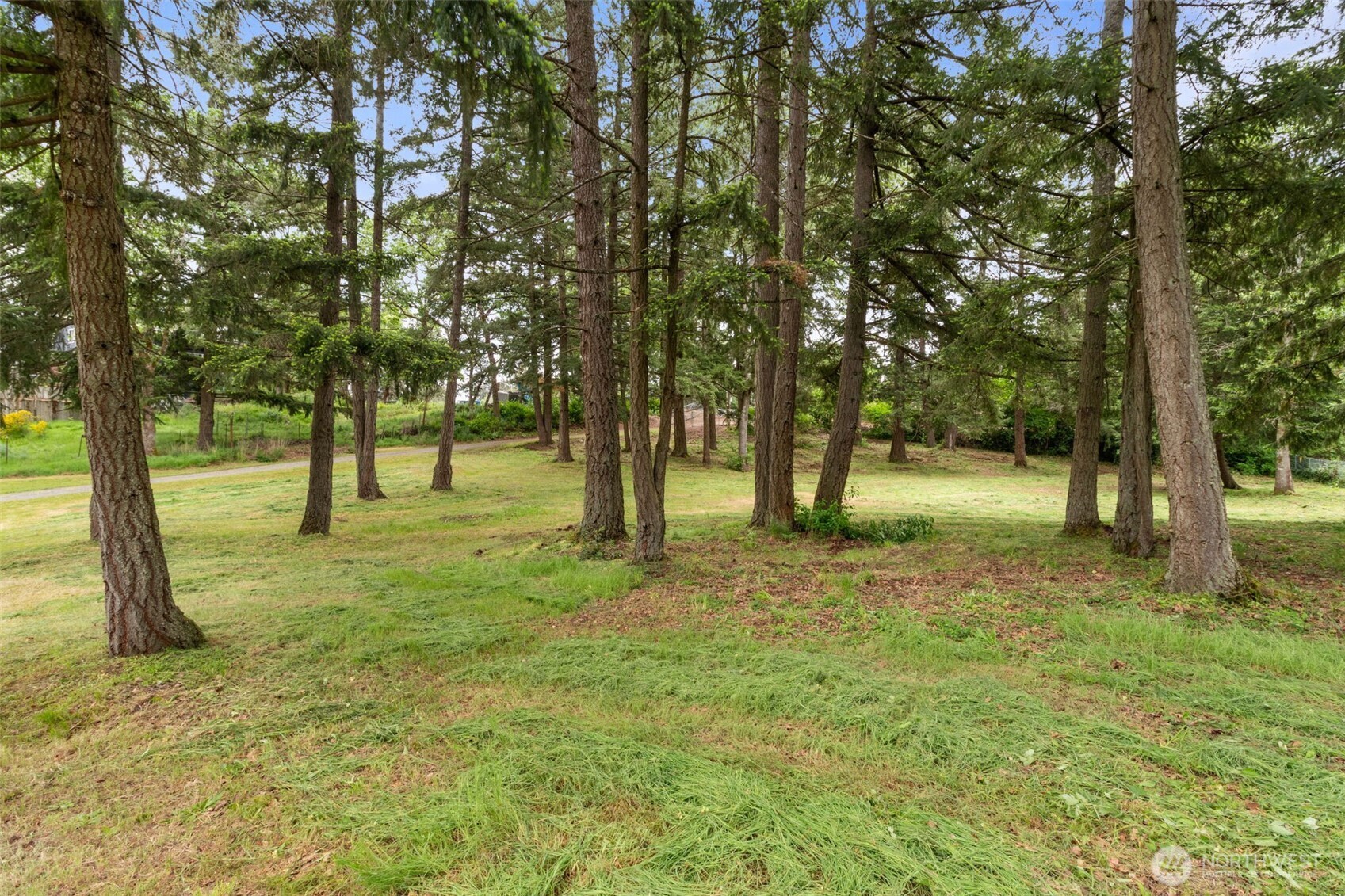 19608 8th Avenue E, Spanaway, WA 98387
