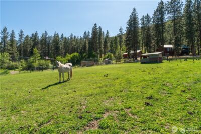 5721 Mountain Lane Road , Peshastin, WA 98847 - Photo 37
