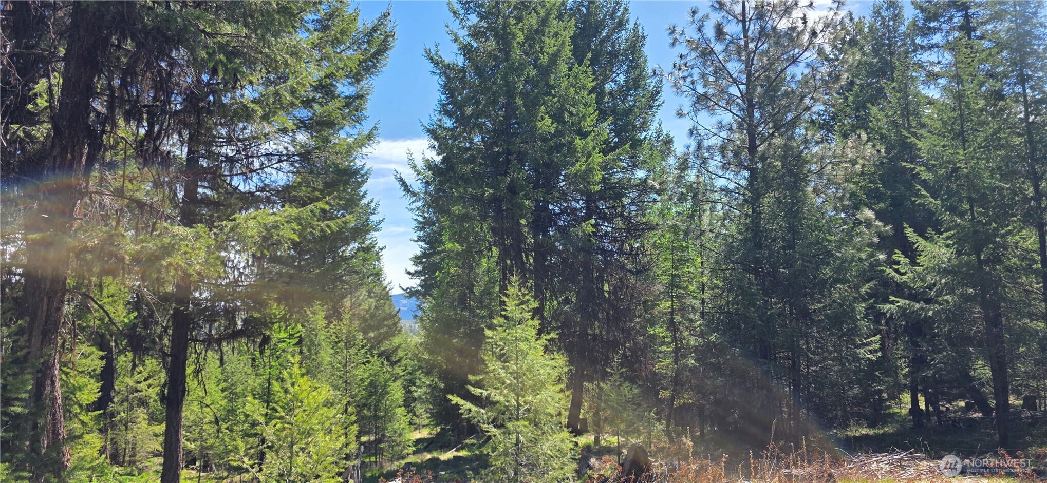 111 TBD Wannamaker rd , Oroville, WA 98844