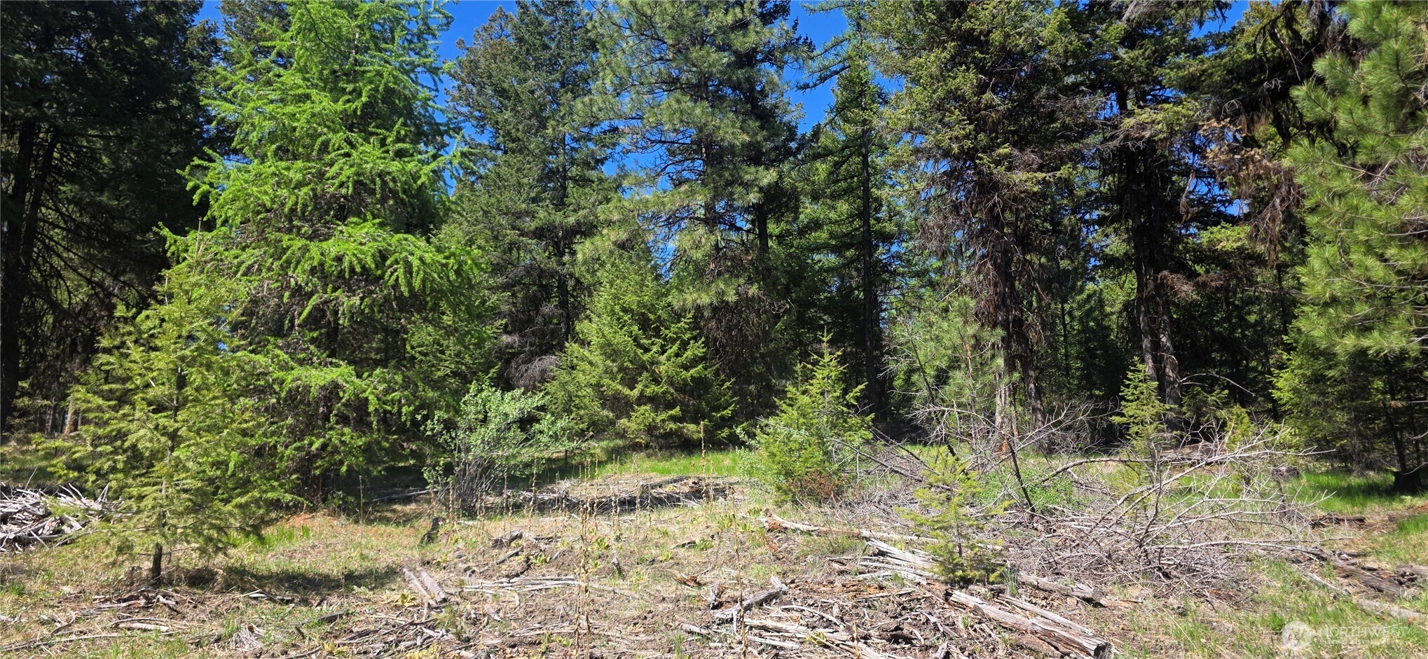 111 TBD Wannamaker rd , Oroville, WA 98844