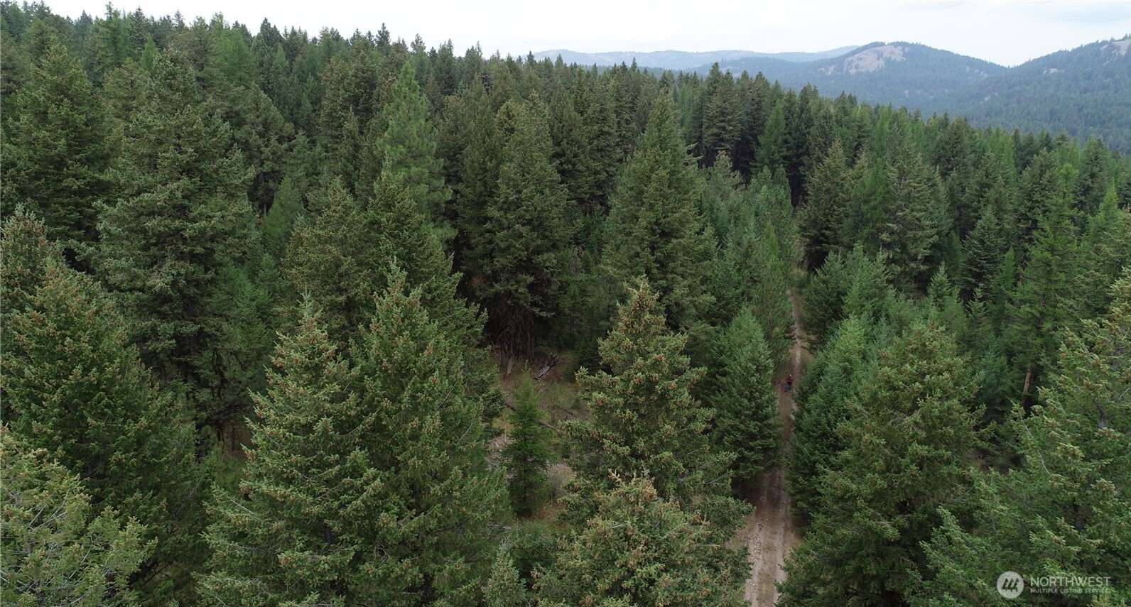 111 TBD Wannamaker rd , Oroville, WA 98844