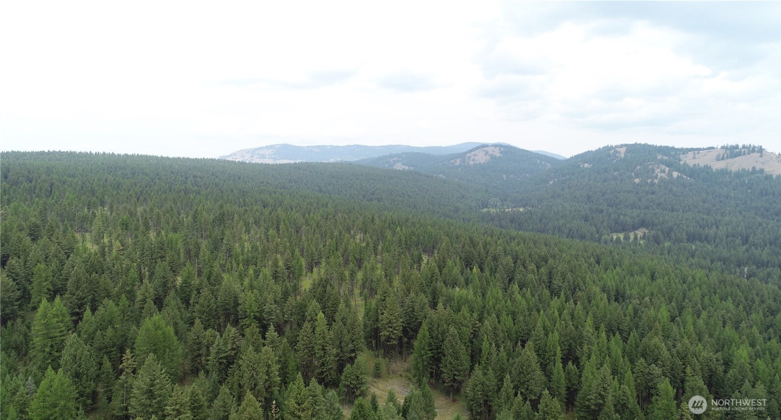 111 TBD Wannamaker rd , Oroville, WA 98844