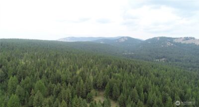 111 TBD Wannamaker rd , Oroville, WA 98844 - Photo 13