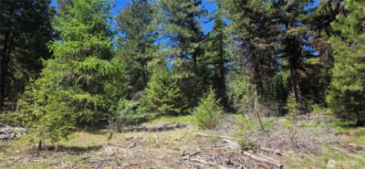 111 TBD Wannamaker rd , Oroville, WA 98844 - Photo 2