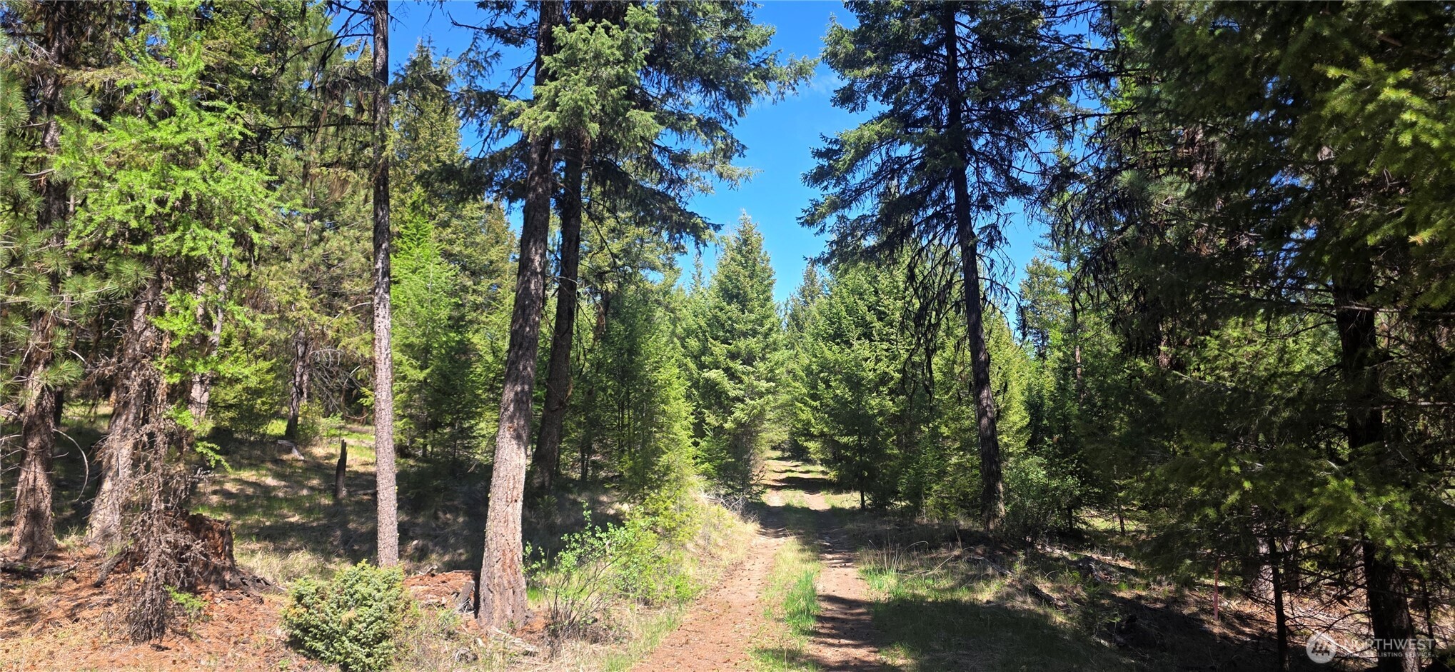 111 TBD Wannamaker rd , Oroville, WA 98844