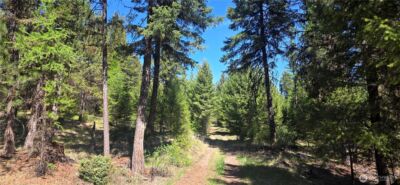 111 TBD Wannamaker rd , Oroville, WA 98844 - Photo 3