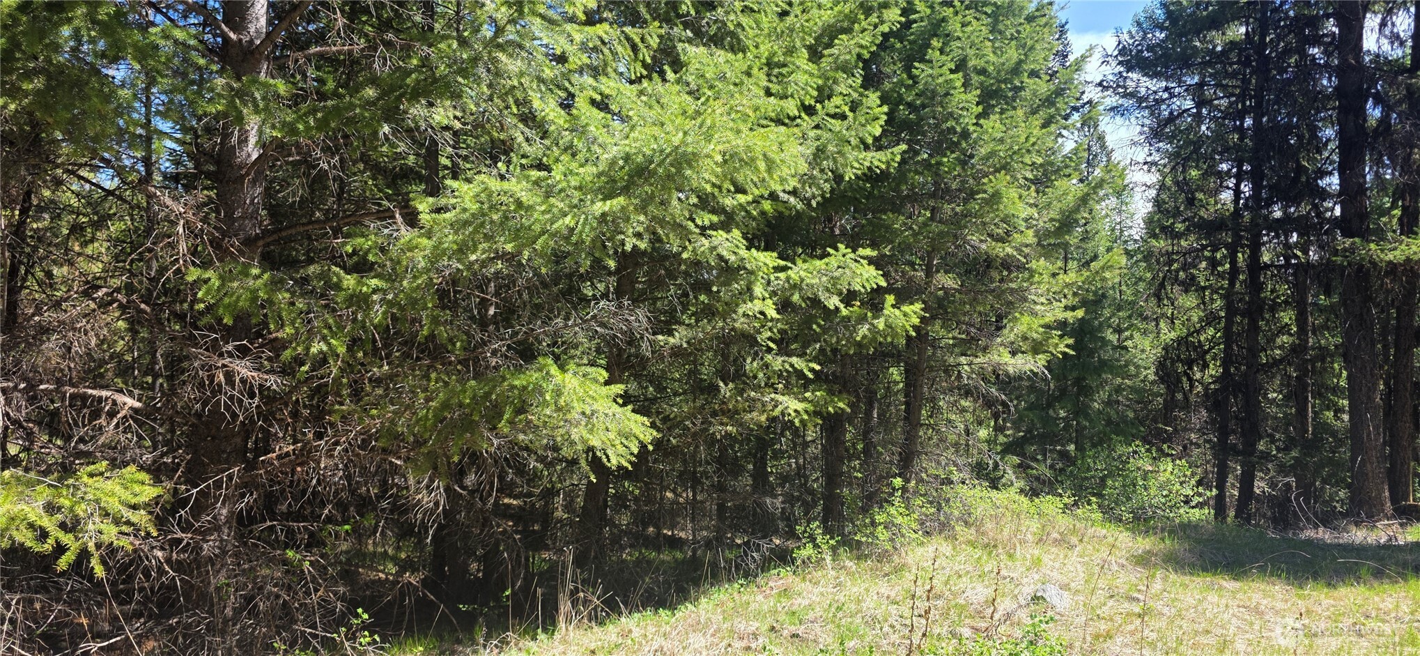 111 TBD Wannamaker rd , Oroville, WA 98844