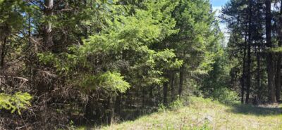 111 TBD Wannamaker rd , Oroville, WA 98844 - Photo 4