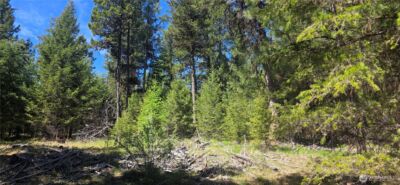 111 TBD Wannamaker rd , Oroville, WA 98844 - Photo 6