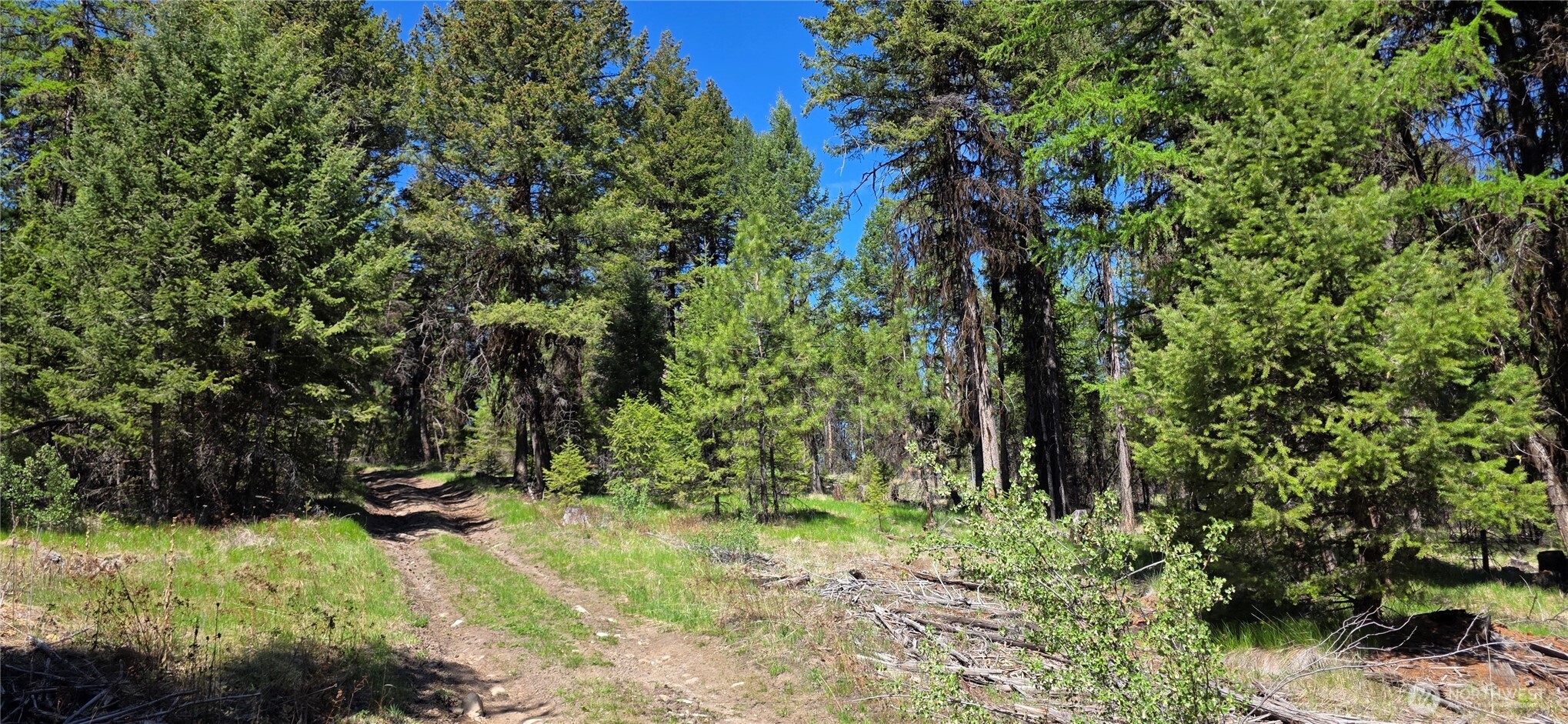 111 TBD Wannamaker rd , Oroville, WA 98844