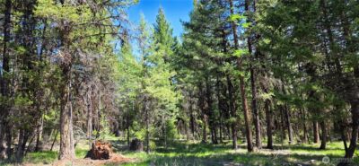 111 TBD Wannamaker rd , Oroville, WA 98844 - Photo 8