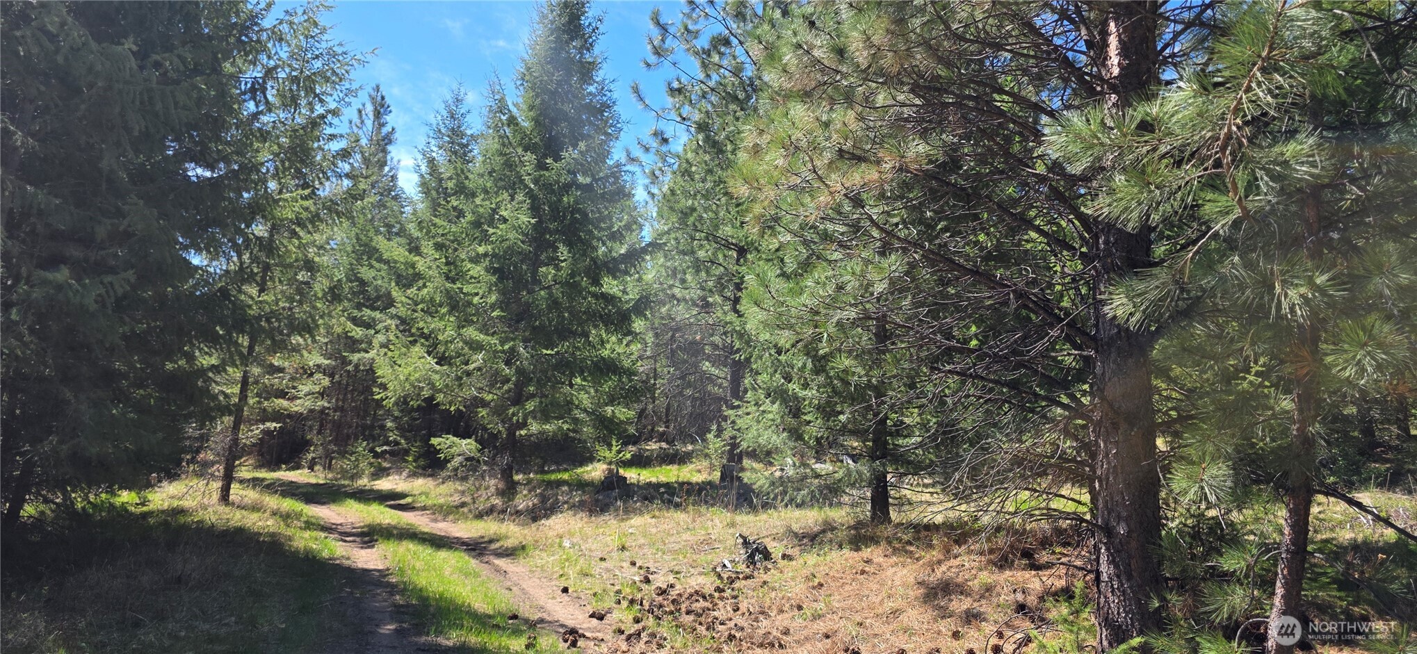 111 TBD Wannamaker rd , Oroville, WA 98844