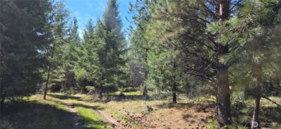 111 TBD Wannamaker rd , Oroville, WA 98844 - Photo 9