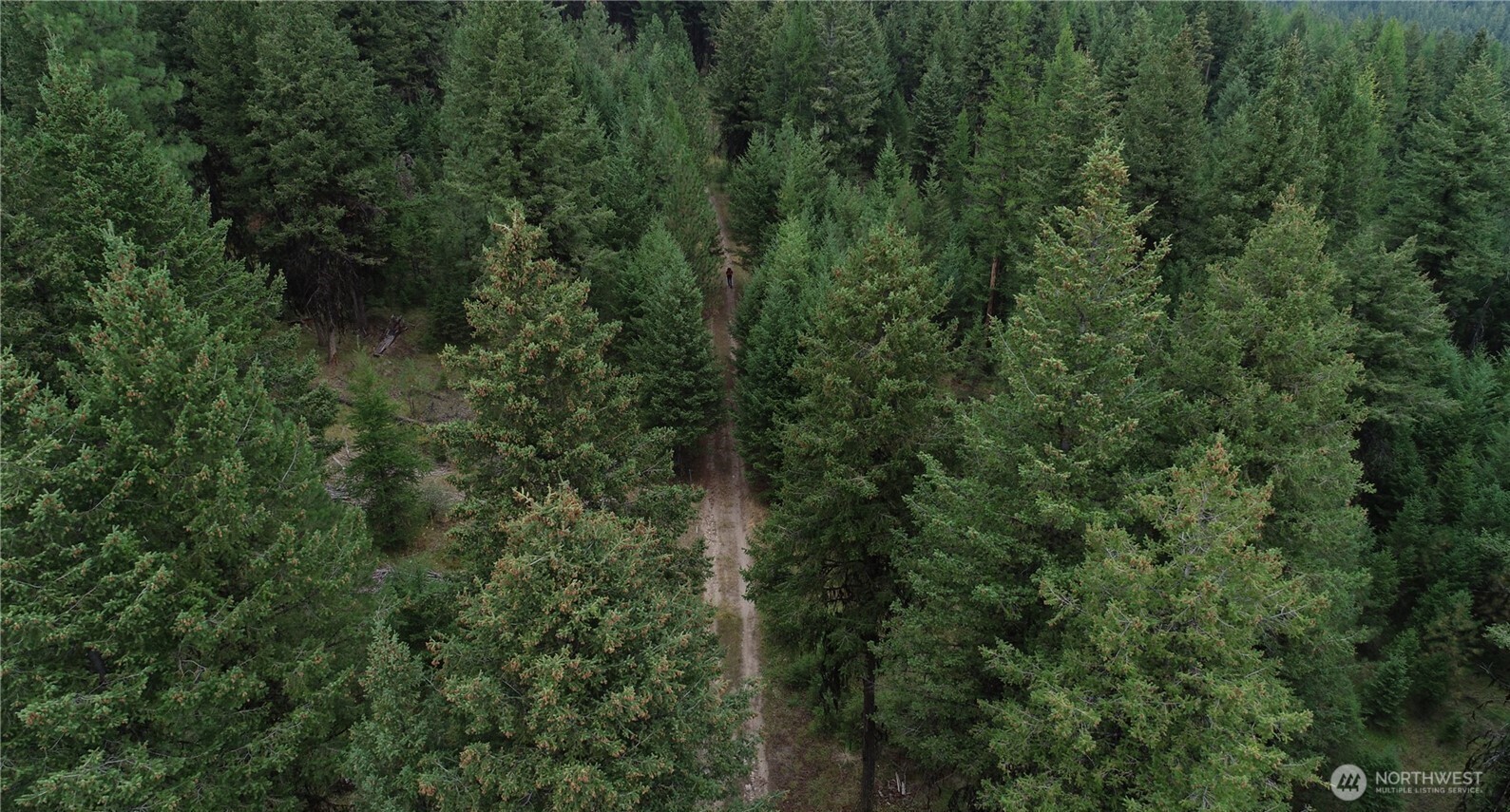 111 TBD Wannamaker rd , Oroville, WA 98844