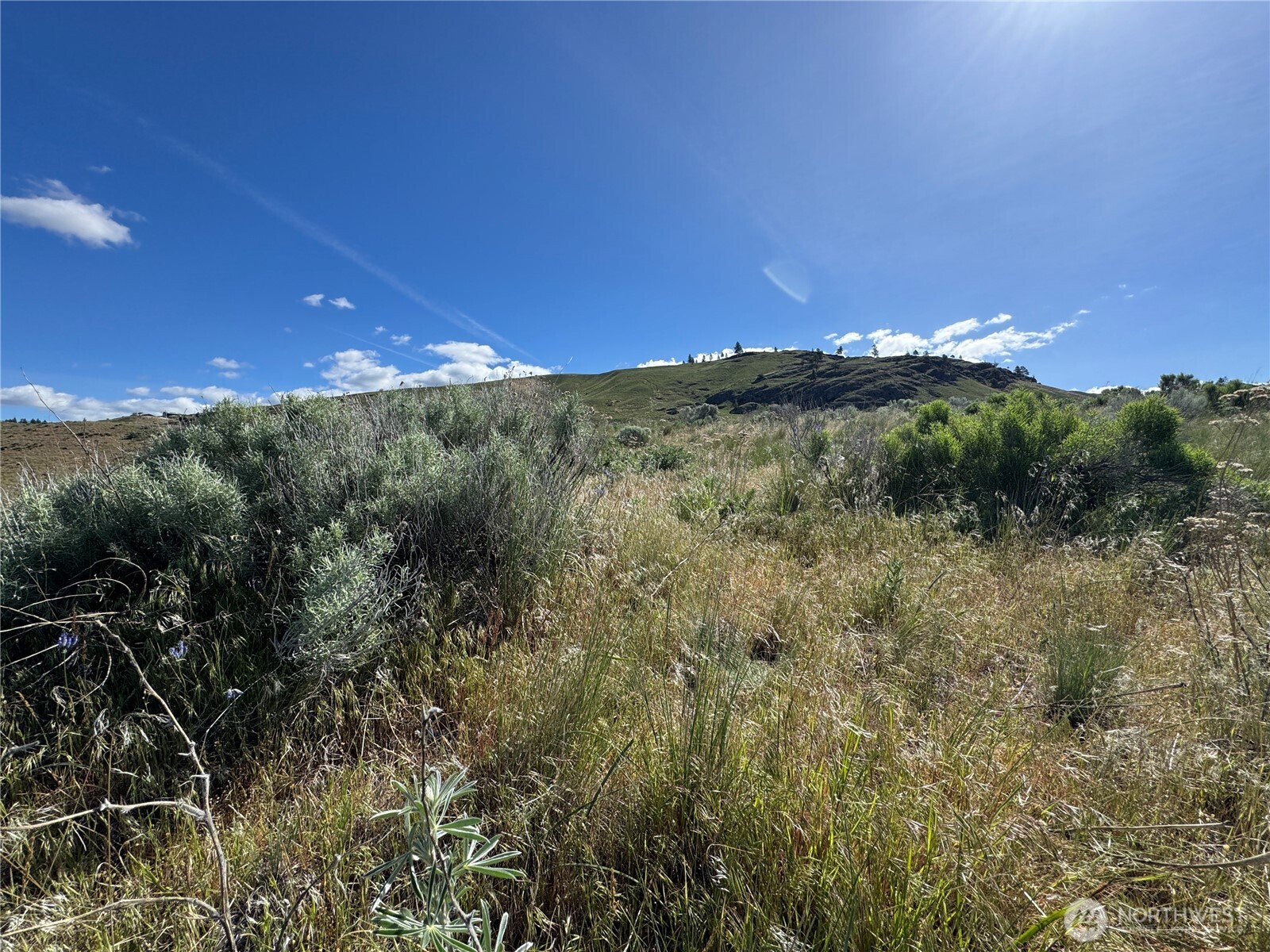 35 Sunset Ridge Road , Oroville, WA 98844