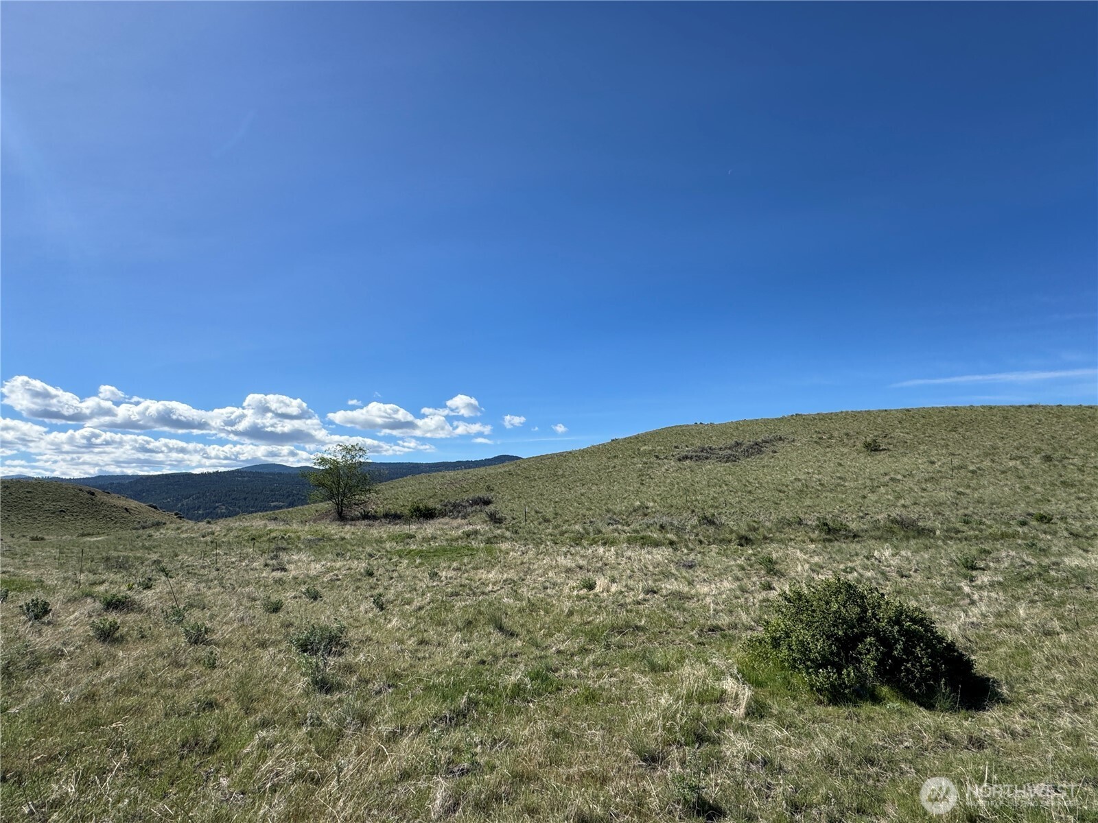 35 Sunset Ridge Road , Oroville, WA 98844