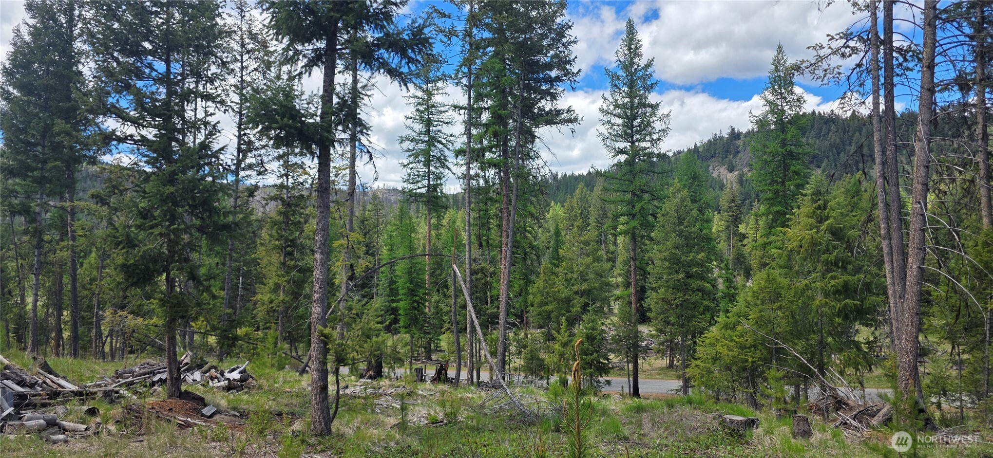 790 BONAPARTE LAKE RD , Tonasket, WA 98855