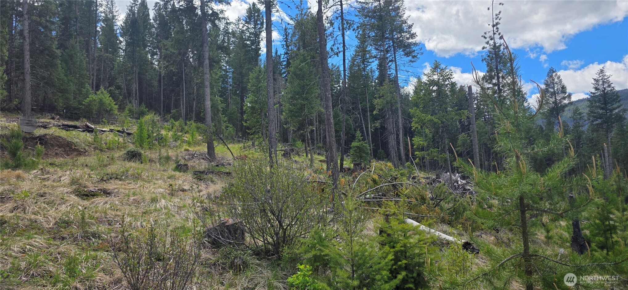 790 BONAPARTE LAKE RD , Tonasket, WA 98855