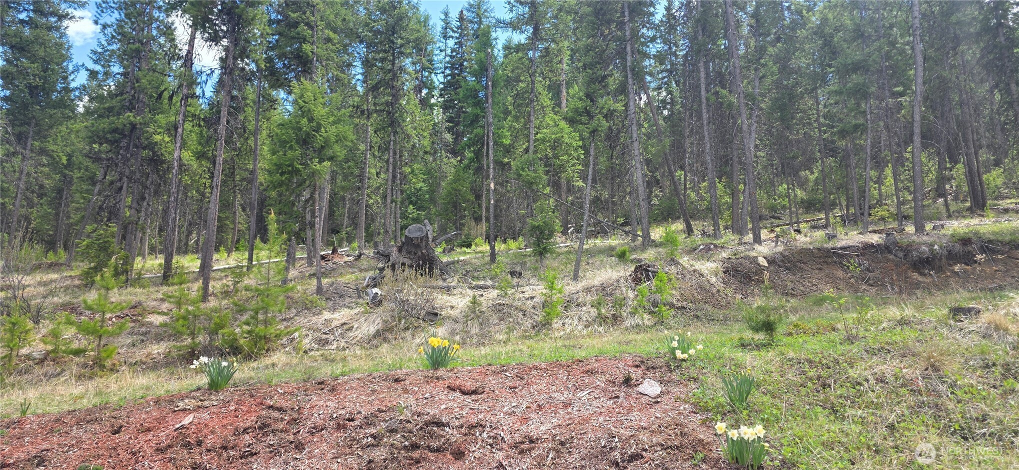 790 BONAPARTE LAKE RD , Tonasket, WA 98855