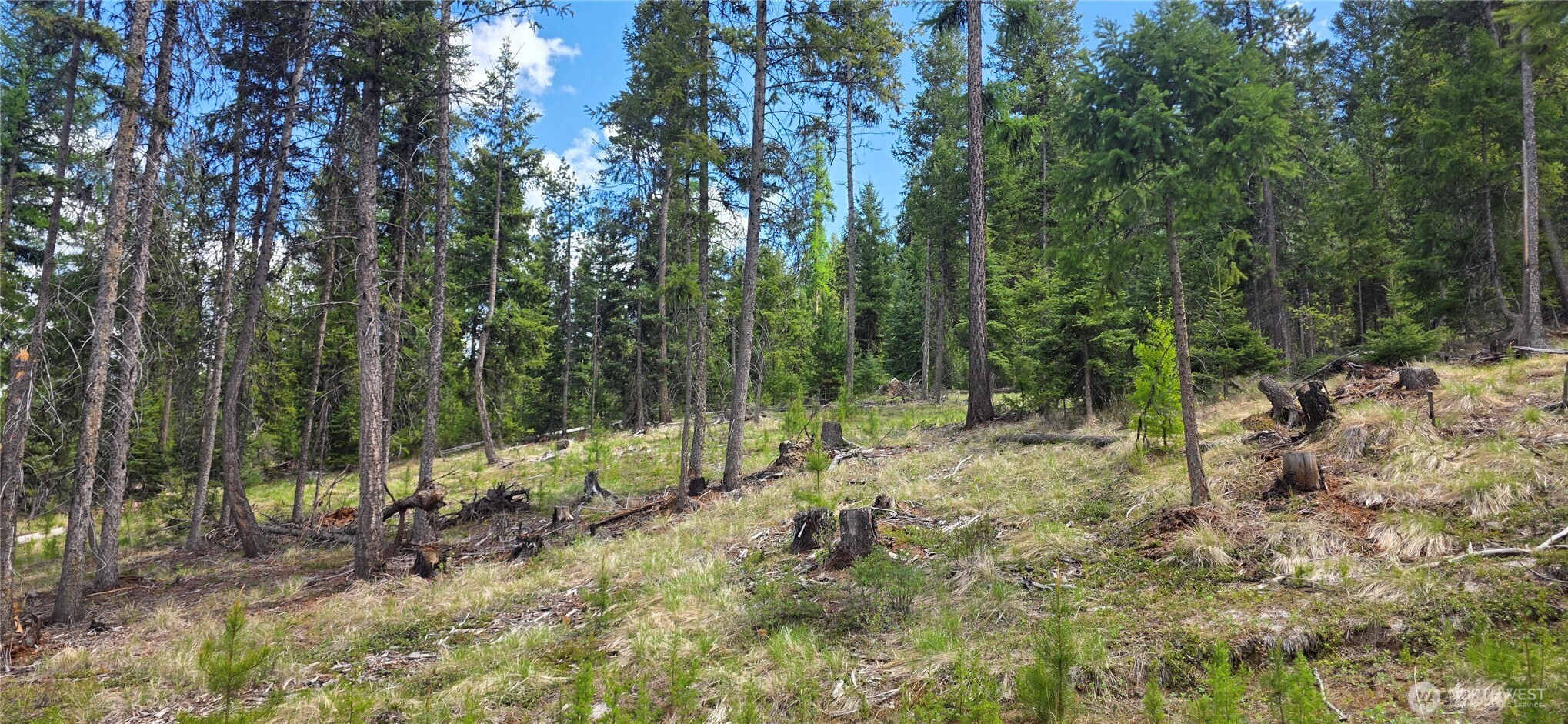 790 BONAPARTE LAKE RD , Tonasket, WA 98855
