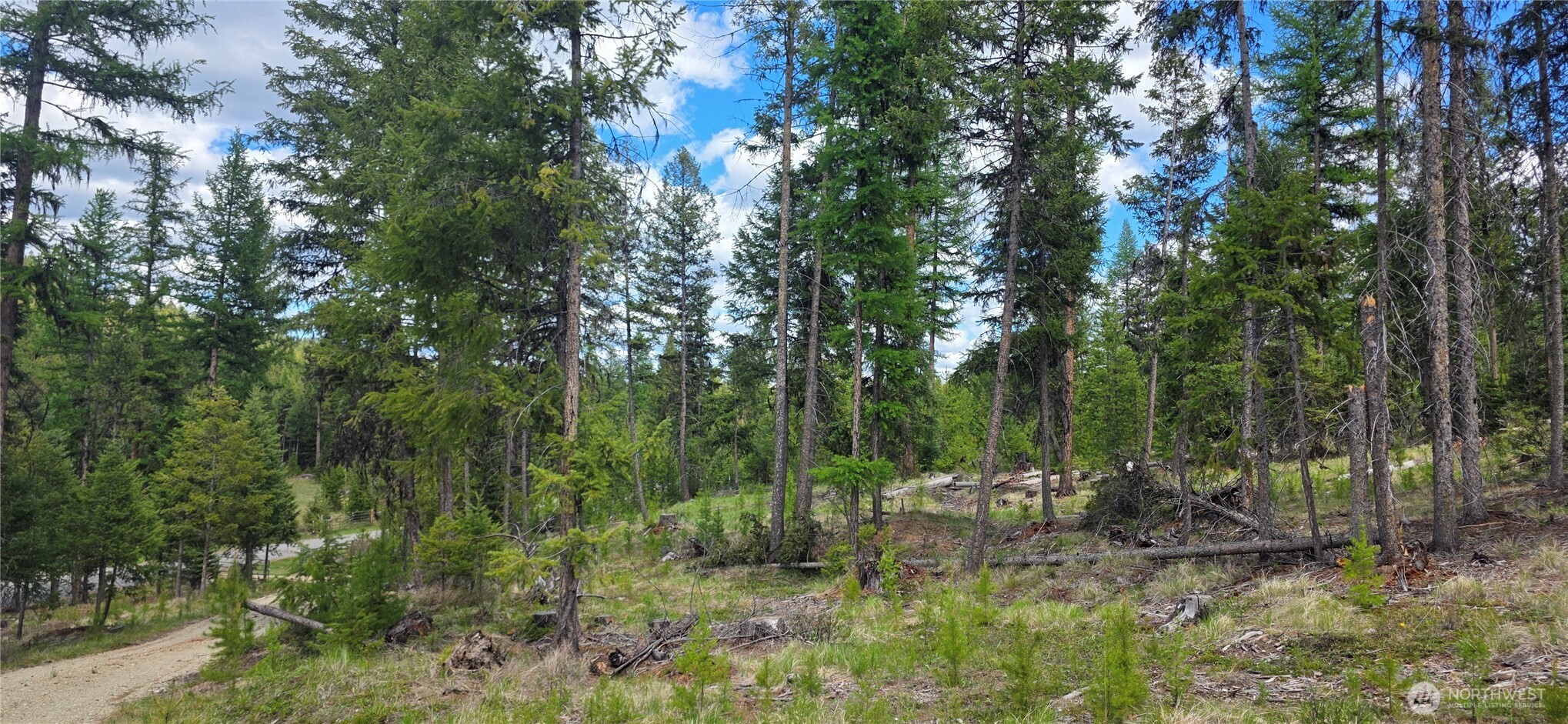 790 BONAPARTE LAKE RD , Tonasket, WA 98855