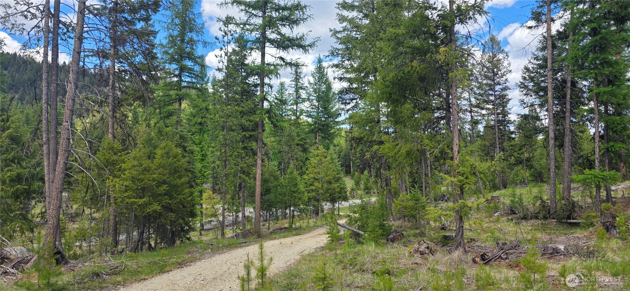 790 BONAPARTE LAKE RD , Tonasket, WA 98855