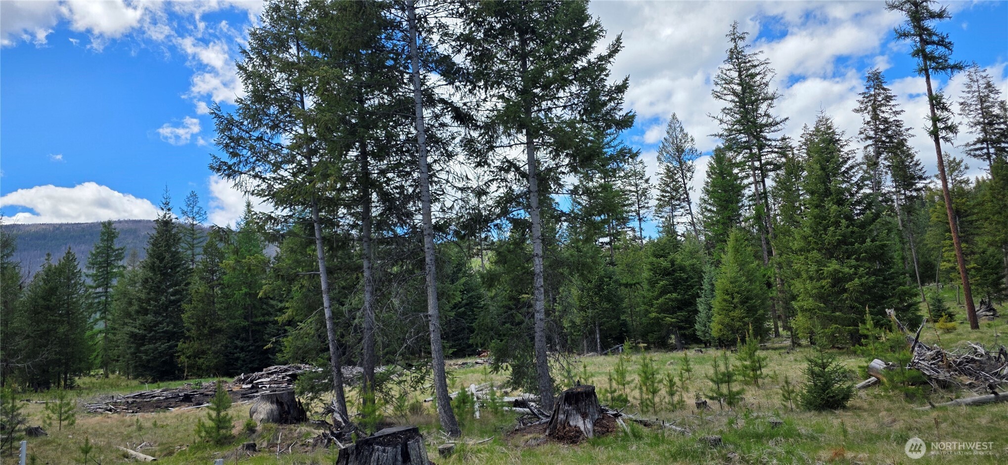 790 BONAPARTE LAKE RD , Tonasket, WA 98855