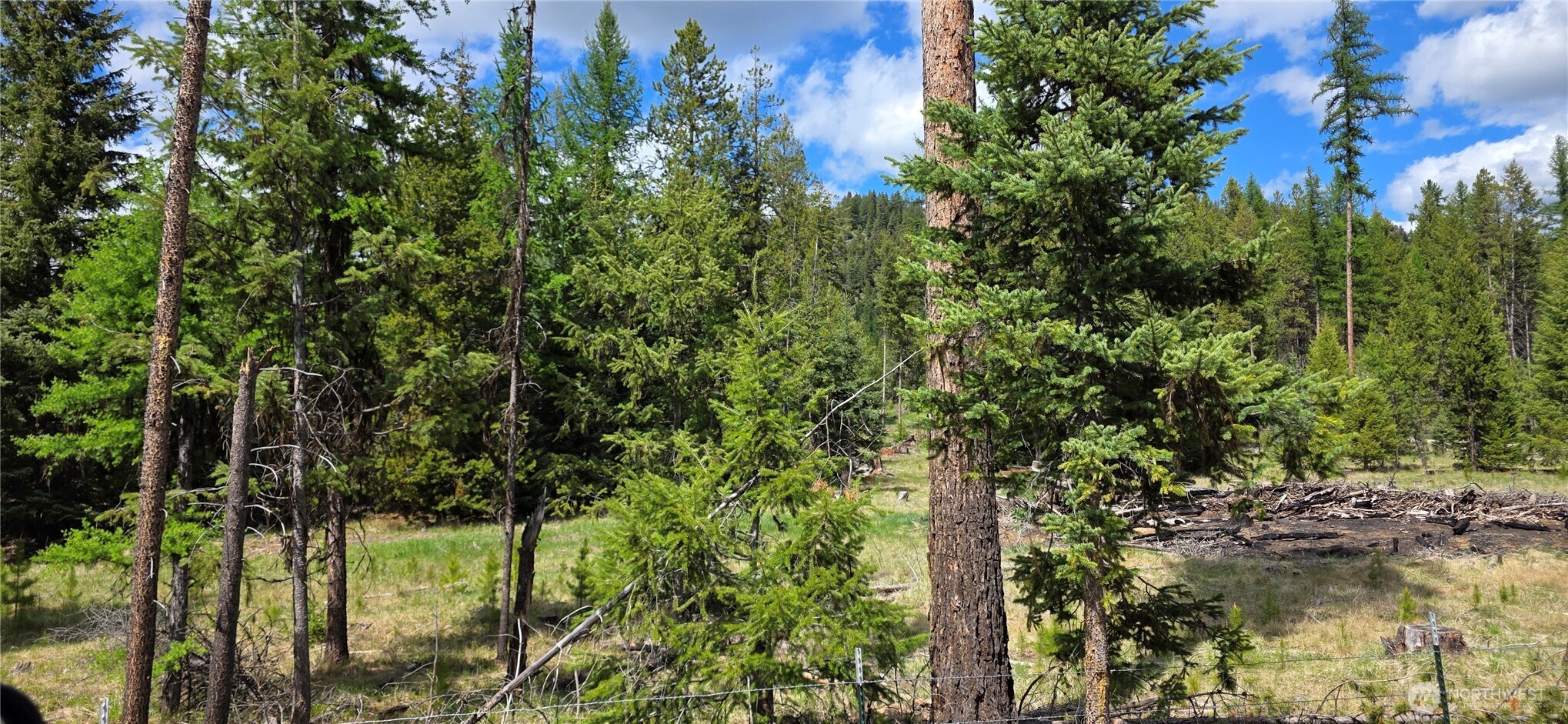 790 BONAPARTE LAKE RD , Tonasket, WA 98855