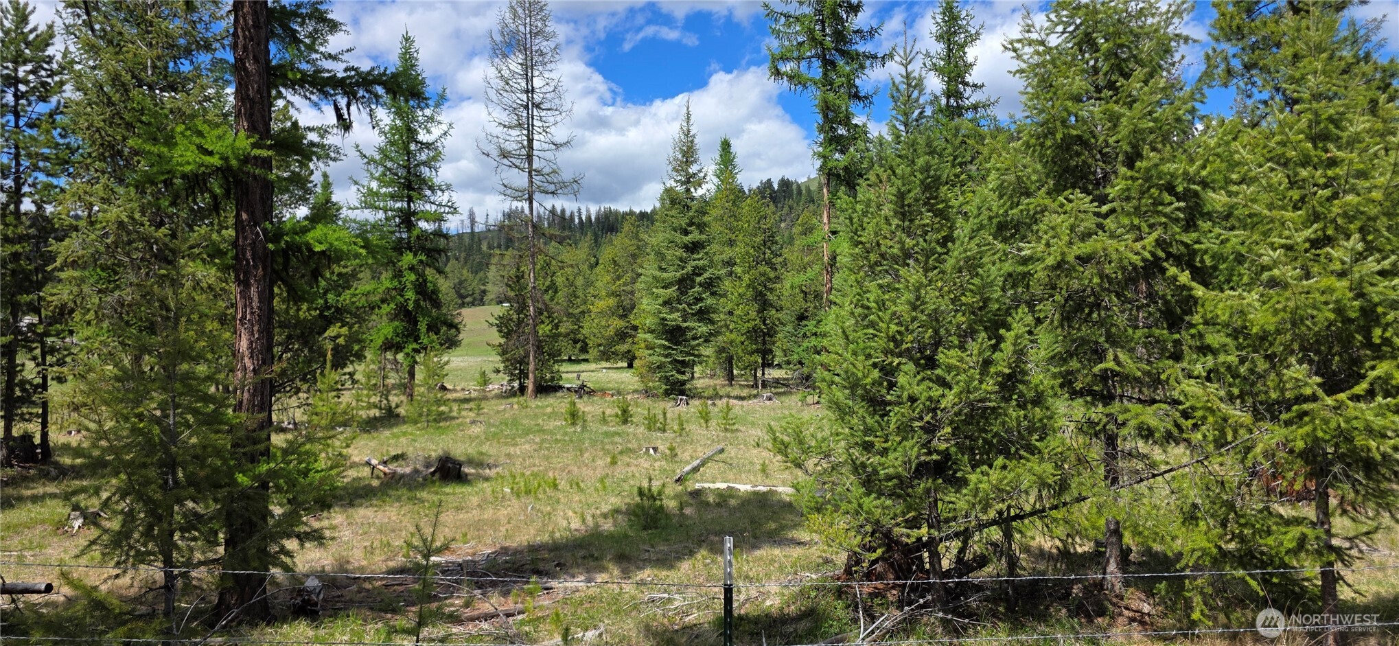 790 BONAPARTE LAKE RD , Tonasket, WA 98855