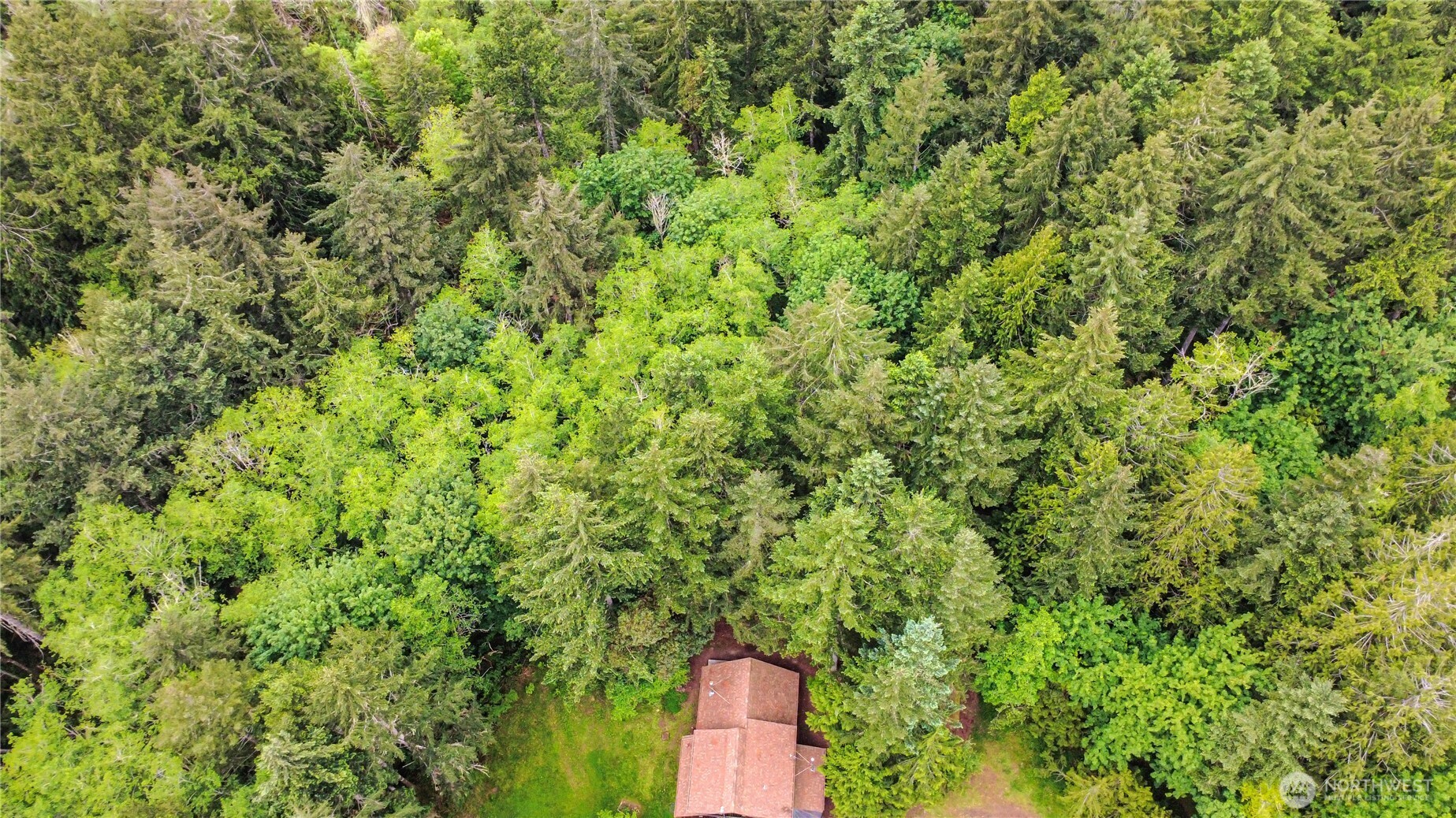 7229 Gallagher Cove Road NW, Olympia, WA 98502