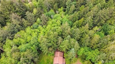 7229 Gallagher Cove Road NW, Olympia, WA 98502 - Photo 33
