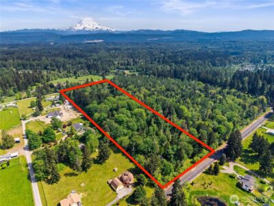 27716 114th Avenue E, Graham, WA 98338 - Photo 3
