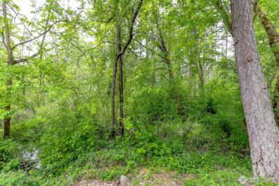 4911 255th Street Ct E, Graham, WA 98338 - Photo 40
