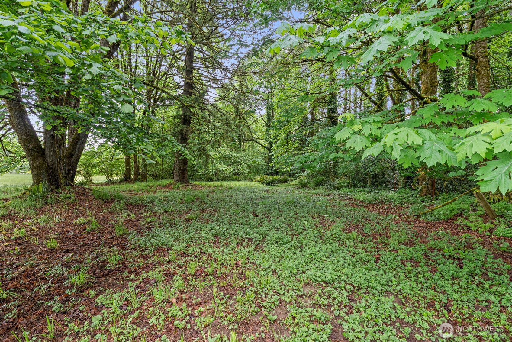 19132 Albany Street SW, Rochester, WA 98579