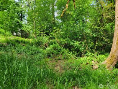 2518 Handicap Court SW, Olympia, WA 98512 - Photo 3
