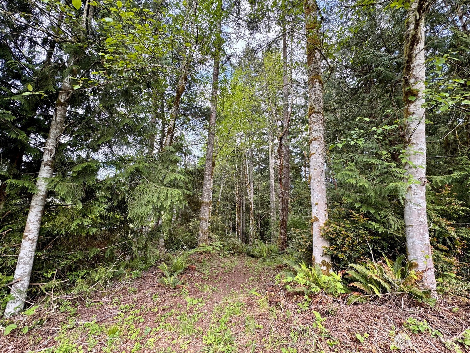 3021 NW Beth Lane , Poulsbo, WA 98370