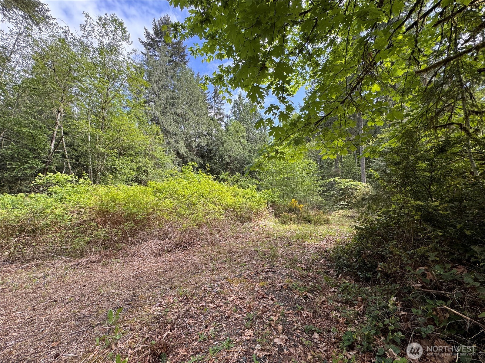 3021 NW Beth Lane , Poulsbo, WA 98370
