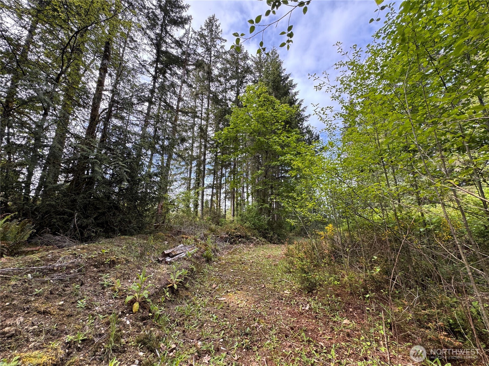 3021 NW Beth Lane , Poulsbo, WA 98370