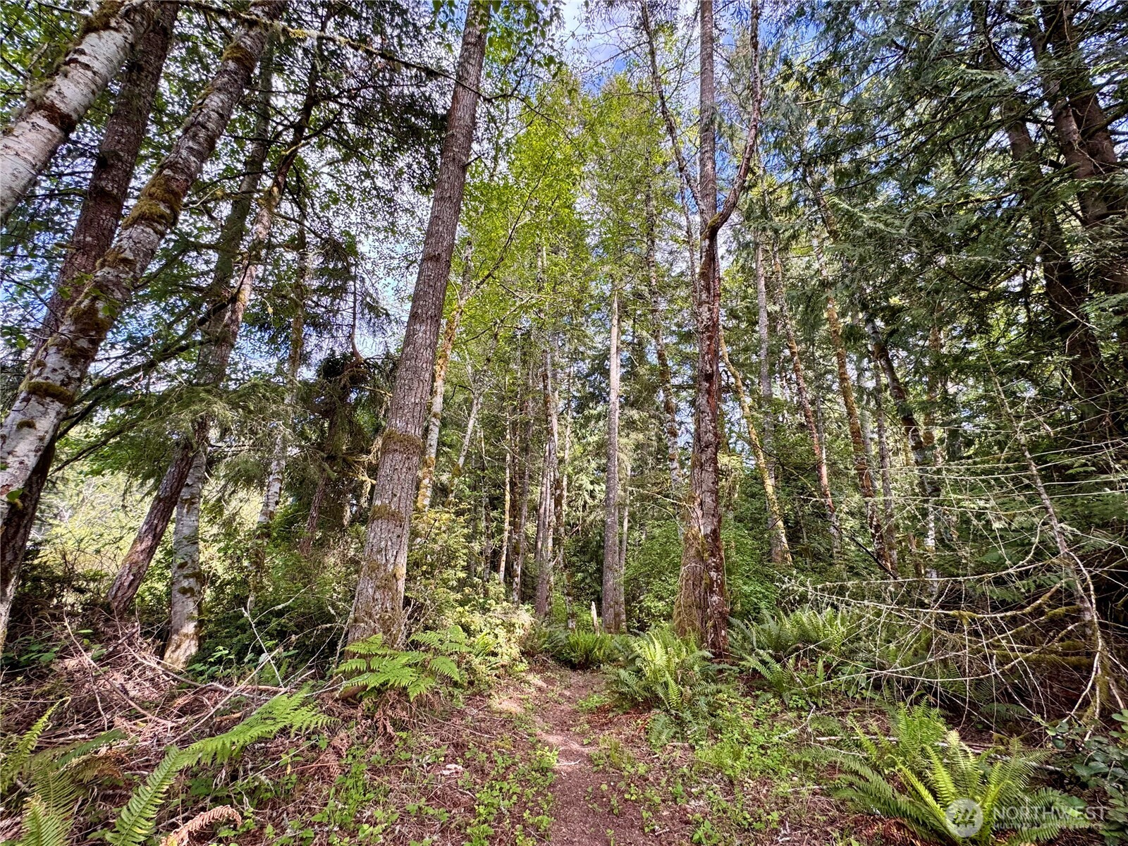 3021 NW Beth Lane , Poulsbo, WA 98370