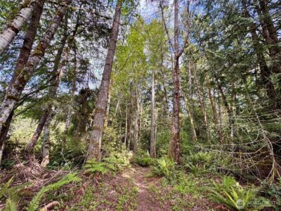 3021 NW Beth Lane , Poulsbo, WA 98370 - Photo 20