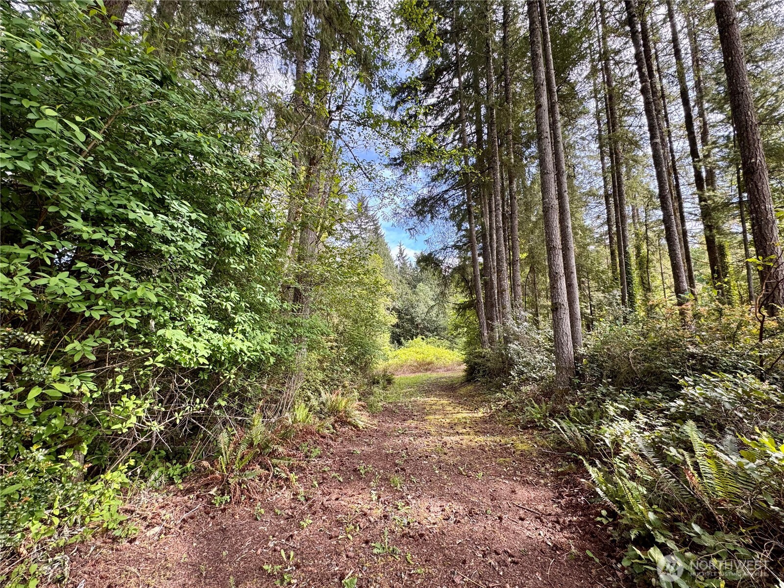 3021 NW Beth Lane , Poulsbo, WA 98370