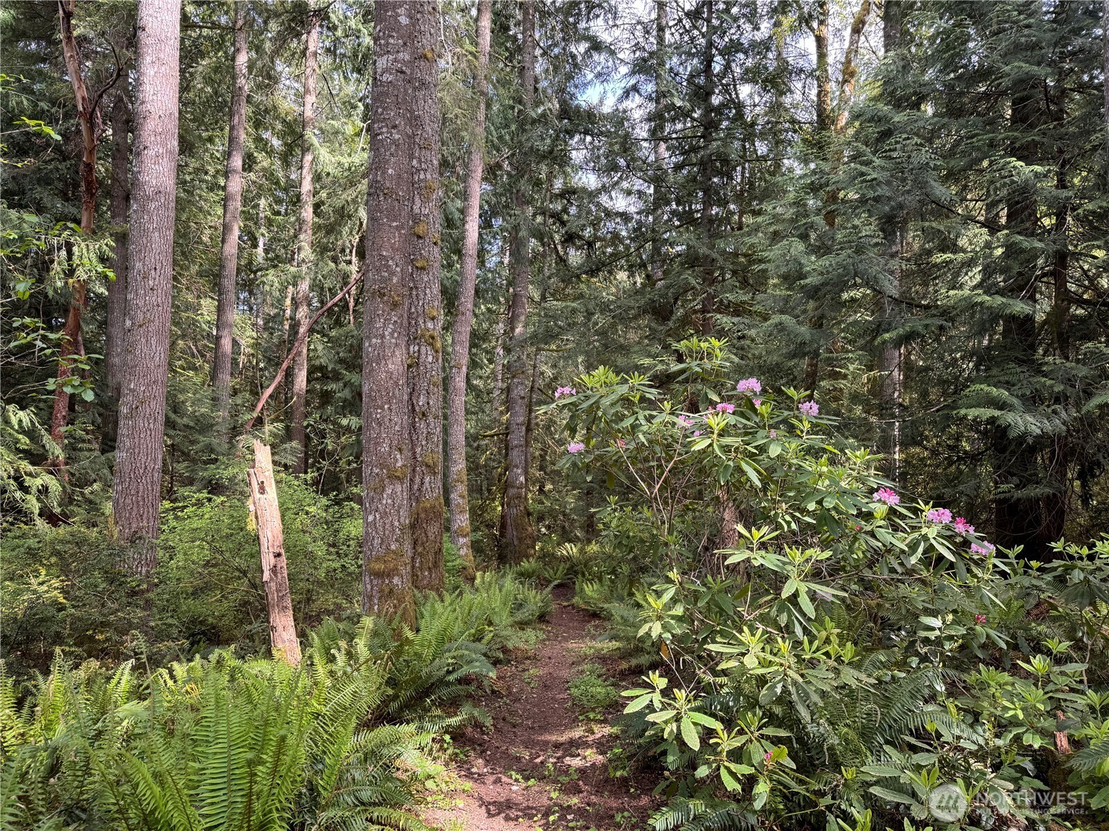 3021 NW Beth Lane , Poulsbo, WA 98370