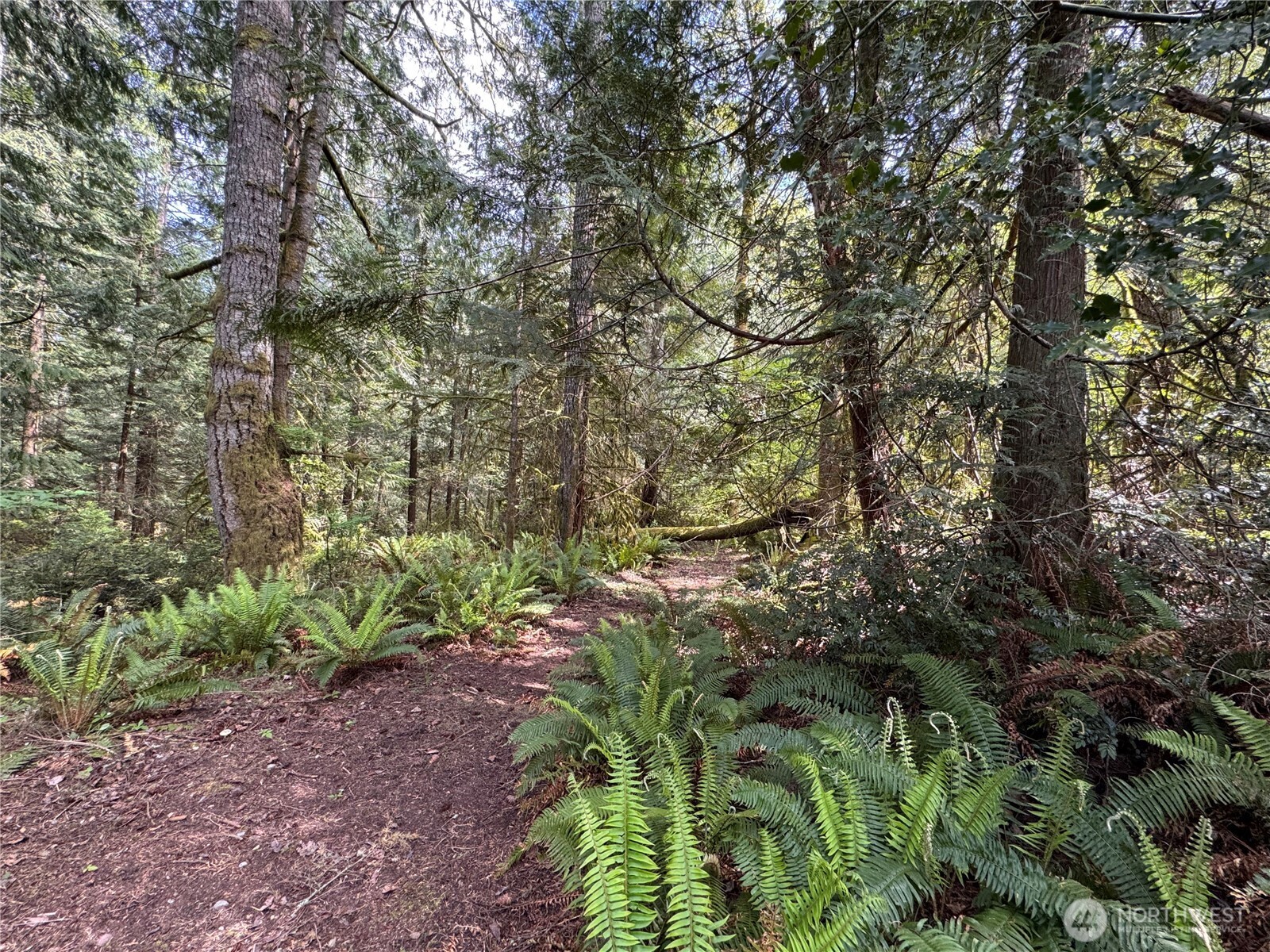 3021 NW Beth Lane , Poulsbo, WA 98370
